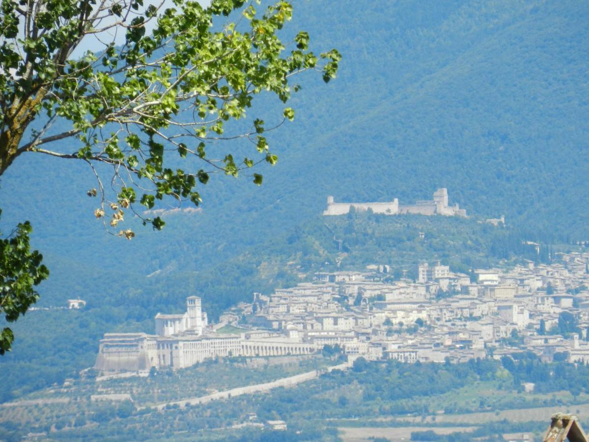 Appartamenti Brufa Civico 13/17 Buitenkant foto